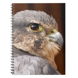 MERLIN VALK ROOFVOGEL NOTITIEBOEK