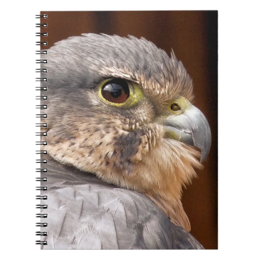 MERLIN VALK ROOFVOGEL NOTITIEBOEK (Voorkant)