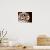 MERLIN VALK ROOFVOGEL POSTER (Keuken)
