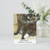 Merlin's Sit-up Exercise Briefkaart (Staand voorkant)