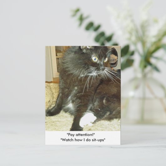 Merlin's Sit-up Exercise Briefkaart (Staand voorkant)