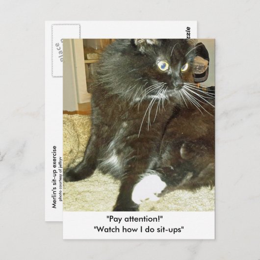 Merlin's Sit-up Exercise Briefkaart (Voorkant / Achterkant)