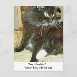 Merlin's Sit-up Exercise Briefkaart