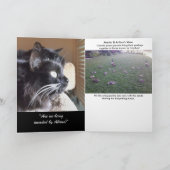 Merlin's Uitzicht Story Wenskaart Kaart (Binnen)