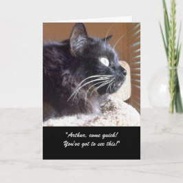 Merlin's Uitzicht Story Wenskaart Kaart