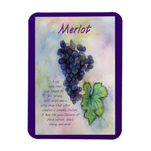 Merlot Wine Grapes Schilderen Art Magnet Magneet