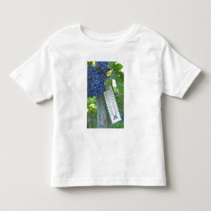 Merlotdruiven bij Chateau la Grave Figeac, een Kinder Shirts