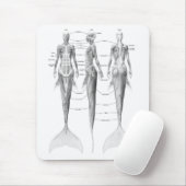 MERMAID ANATOMY MUISMAT (Met muis)