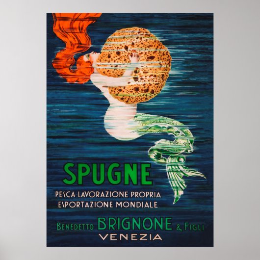 Mermaid and Sponge  Advertisement Poster (Voorkant)