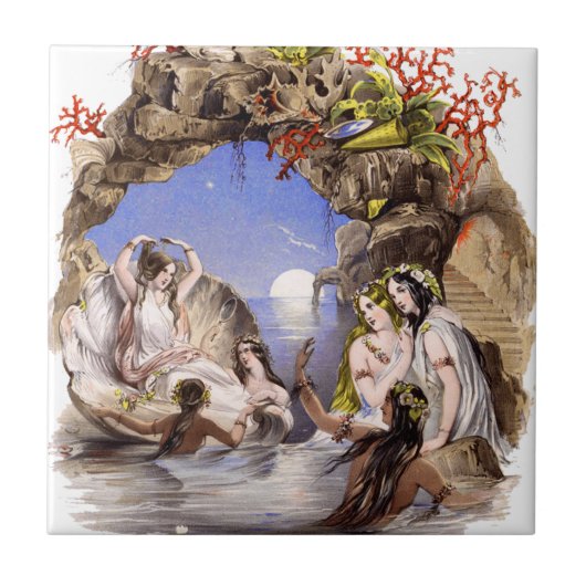 Mermaid Cove Tegeltje (Voorkant)