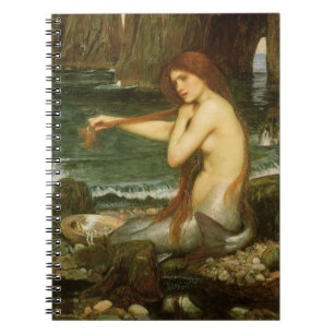 Mermaid door John William Waterhouse Notitieboek