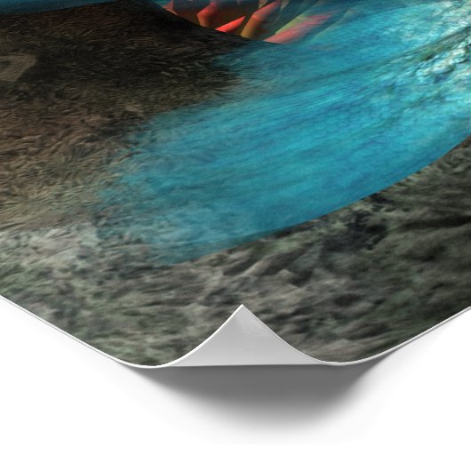 Mermaid en Dolphin Poster (Hoek)