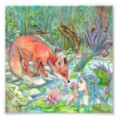 Mermaid en Fox Foto Afdruk (Voorkant)