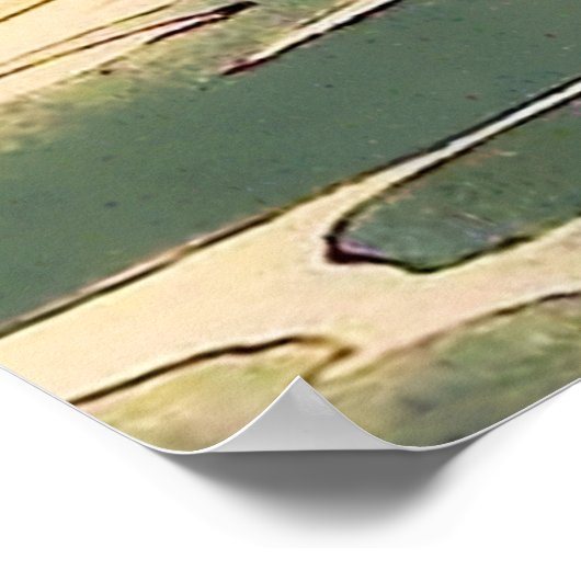 "Mermaid" Fairy Art van Alice B Woodward Poster (Hoek)