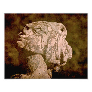 Mermaid Headshot Foto Afdruk