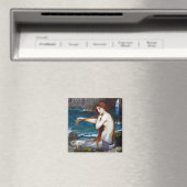 Mermaid, John William Waterhouse Magneet (Insitu (Vaatwasser))