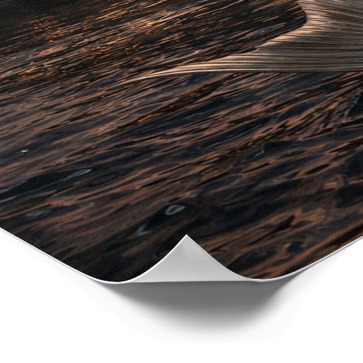 Mermaid Looking At A Sailing Ship Poster (Hoek)