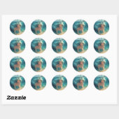 Mermaid of the Island Horizon Ronde Sticker (Vel)