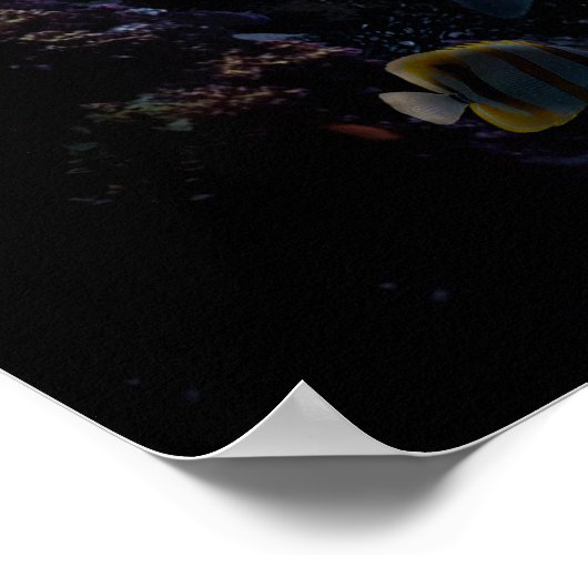 Mermaid Poster (Hoek)