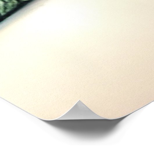 Mermaid Poster (Hoek)