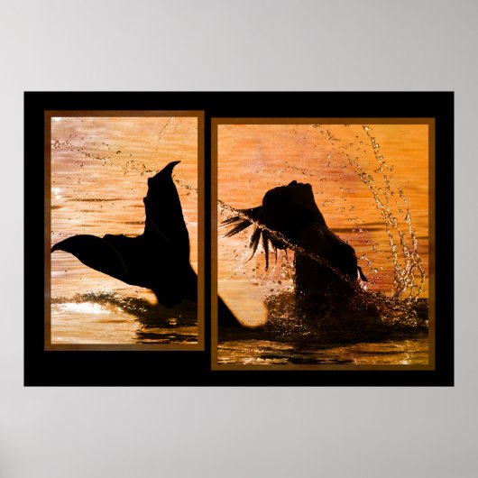 Mermaid Print (Voorkant)