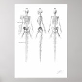 Mermaid Skeleton Poster (Voorkant)