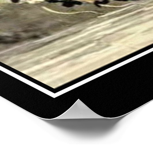 Mermaid Souvenir  Tourist Poster (Hoek)