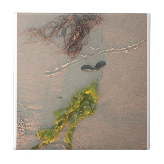 Mermaid Tegeltje (Voorkant)