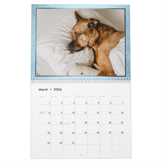 #MermaidLife Het leven van een zeemeermin | Quote  Kalender (Mar 2026)