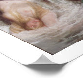 Mermaids bij Play, 1886 (olie op canvas) Poster (Hoek)