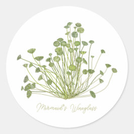 Mermaids Wineglass & Acetabularia Sea-Inspired  Ronde Sticker