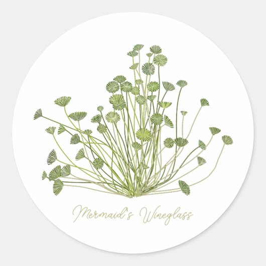Mermaids Wineglass & Acetabularia Sea-Inspired Ronde Sticker (Voorkant)