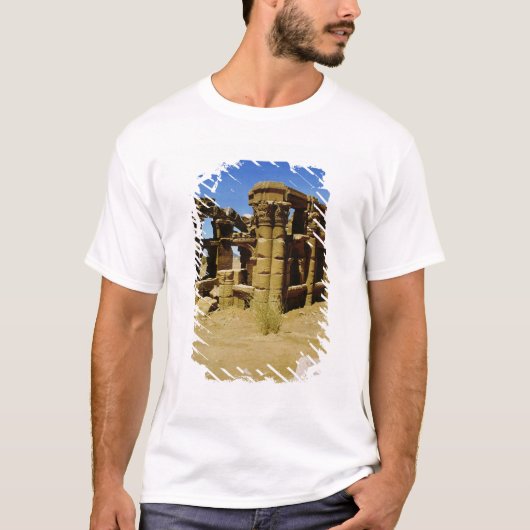 Meroitic kiosk t-shirt (Voorkant)