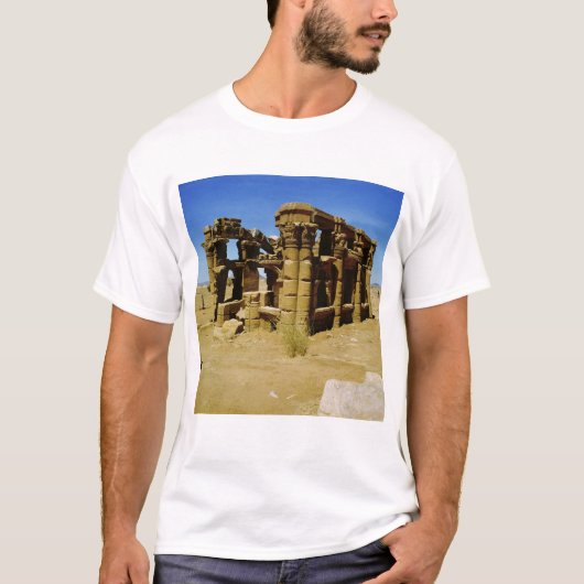 Meroitic kiosk t-shirt (Voorkant)