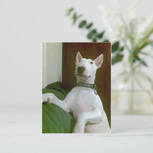 merra briefkaart (Staand voorkant)