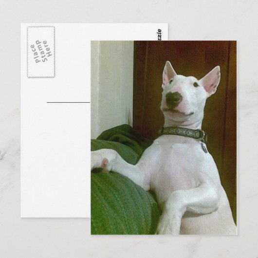 merra briefkaart (Voorkant / Achterkant)