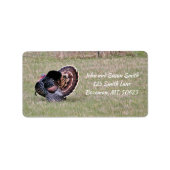 Merriam Wild Turkey Address Label (Voorkant)
