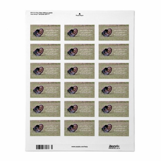Merriam Wild Turkey Address Label (Full Sheet)