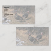 Merriams wilde kalkoenen, geitenlammeren visitekaartje (Voorkant / Achterkant)