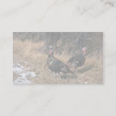 Merriams wilde kalkoenen, geitenlammeren visitekaartje (Achterkant)