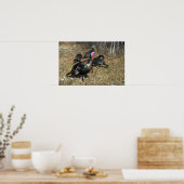 Merriams wilde kalkoenen, grote koningsdieren en k poster (Keuken)