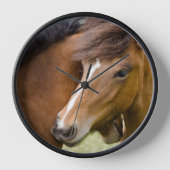 Merrie en veulen (Voorkant)