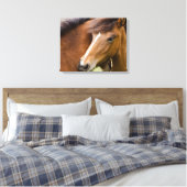 Merrie en veulen canvas afdruk (Insitu (Slaapkamer))