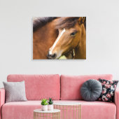Merrie en veulen canvas afdruk (Insitu (Woonkamer))
