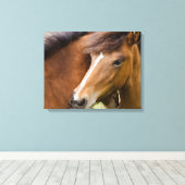 Merrie en veulen canvas afdruk (Insitu (Houten vloer))