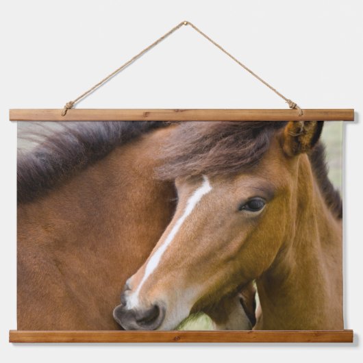 Merrie en veulen hangend wandkleed (Voorkant)