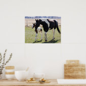 Merrie en veulen lopen poster (Keuken)