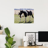 Merrie en veulen lopen poster (Thuiskantoor)
