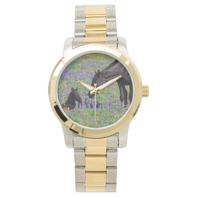 Merrie en veulen met Bluebonnets Watch Face Horloge (Voorkant)
