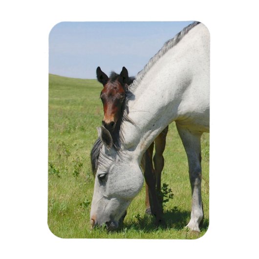 Merrie Grazing met Veulen Magneet (Verticaal)